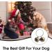 4 Sets Dog Cat Collar Bells Loud Metal Anti-Lost Training Vintage Brass Crisp Tracking Charm Pendant with Split Key Rings Durable Bronze Small Pet Tracker Bells for Cats Dogs Collars Pets Harness - Buy Online on GoSupps.com