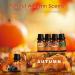 Autumn Fragrance Oil Set - ARVIDSSON Essential Oils for Diffuser & Candle Making | Pumpkin Spice Cinnamon Spiced Cider & More - Buy Online on GoSupps.com