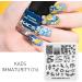 KADS Nail Art Stamping Plates Set Image Template Stencils Pattern with Stamping Plates Holder Case Organizer (IM016) - Buy Online on GoSupps.com