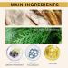 Rice Cream for Skin Turn White Cream of Rice - Face Cream Anti-Aging Moisturizing Nourishing and Hydrating w/Rice Extract for Women - For All Skin Types - Buy Online on GoSupps.com