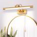Mantolite LED Picture Lamp 8W 40cm Brass - Swiveling Head 3000K Interior Lighting Ideal for Art Display - Buy Online on GoSupps.com