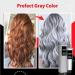 Silver Gray Natural Hair Dye Cream Gray Silver Color Cream Unisex Silver Hair Dye Fashion Permanent Color Cream Grey Permanent Hair Dye Silver Gray Natural Hair Color Cream 2PC - Buy Online on GoSupps.com