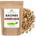 P&E Organic Angelica Root 100 g (Angelica Sinensis) Herbal Tea Infusion for Plants and Spices