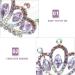 Beaupretty 4 Pieces Princess Tiara Crown Comb Rhinestone Tiara Hair Comb Mini Crystal Hair Clip Rhinestone Crown Hair Comb Hair Accessories for Girls - Buy Online on GoSupps.com