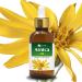 Arnica Essential Oil (Arnica Montana) by Salvia 100% Pure & Natural - Undiluted Uncut Cold Pressed Aromatherapy Premium Oil - Therapeutic Grade - 15 ML with Dropper Arnica 15.00 ml (Pack of 1)