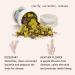 Waning Moon Botanical Bath Tea for Kapha Dosha Detox | Peppermint, Rosemary, Helichrysum | Organic Herbal Bath Soak for Natural Body Care | Loose Leaf Flowers | 2 Baths - Buy Online on GoSupps.com