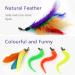Songway Interactive Cat Toy Set - Retractable Sticks & 6 Replacement Springs with Bells | Multi-Colored Spring Rod Toy for Cats - Buy Online on GoSupps.com