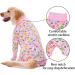 Buy Axcimond Dog Body Recovery Suit - Post-Op Protection for Dogs - 3XL Pink Flower - Comfortable & Secure Alternative to Neck Collars - Buy Online on GoSupps.com