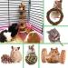 10 Pack Small Animal Combo Apple Wood Activity Toys | Organic Chew Toys for Hamsters, Rats, Chinchillas | Natural Pet Snacks | Pet Accessories - Buy Online on GoSupps.com