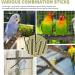 Natural Bird Toys for Small Macaws, Budgies, Lovebirds, Finches | Pepper & Apple Tree Perches for Small to Medium-Sized Birds - Buy Online on GoSupps.com