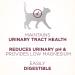 Purina ONE Urinary Tract Health High Protein Natural Adult Cat Food - Chicken, 7 lb Bag - Buy Online on GoSupps.com
