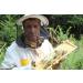 Pure Hawthorn Honey - 500g | Raw & Natural | Ethically Harvested | Boosts Vitality and Immunity | Sustainable Packaging - Buy Online on GoSupps.com