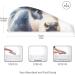 Super Absorbent Cow Watercolor Hair Towel 2 Pack | Quick Dry Hair Turbans with Button Wrap for Women & Girls - International Shipping Available - Buy Online on GoSupps.com