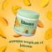Bloom Nutrition Super Greens Powder - Probiotics for Digestive Health Digestive Enzymes with Superfoods Spirulina and Chlorella for Gut Health (Mango) - Buy Online on GoSupps.com