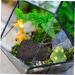 Frcolor Volcanic Stone Aquarium Landscaping - Natural Stone Decor for Fish Tanks & Flower Pots | Breathable Gravel & Plant Ornaments - Buy Online on GoSupps.com