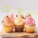 LOINFE Cupcake Toppers Pack of 24 Birthday Cake Toppers Cake Toppers Birthday 40th Gold Cake Toppers for Wedding Birthday Party Cake Decorations - Buy Online on GoSupps.com