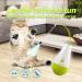 Interactive Cat Feather Toy | Automatic Cat Wand Toy with Catnip | Fun Culbuto Kitten Toys | All for Paws Pet Toys - Buy Online on GoSupps.com