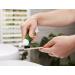 Manuka Health Manuka & Propolis Toothpaste with Manuka Oil - 3.53 oz (100g) for Natural Oral Care - Buy Online on GoSupps.com