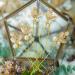 Unicra Wedding Gold Leaf Hair Pins Set with Pearls - Bridal Hair Accessories Pack of 5 - Buy Online on GoSupps.com