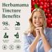 HERBAMAMA Cranberry Supplement Tincture - Vegan Urinary Tract Support for Men and Women with Cranberry Extract - Non-GMO Alcohol & Sugar-Free Kidney Support Supplement 84-Day Supply 4 Fl Oz (Pack of 1) - Buy Online on GoSupps.com