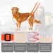 Shop Lollanda Walking Aid for Dogs - Support Mobility for Sick & Older Dogs | Orange Wearable Aid & Dog Dishes - Buy Online on GoSupps.com