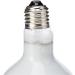 Komodo Basking Spot Lamp ES 100 Watt Packaging may vary 1 Count (Pack of 1) - Buy Online on GoSupps.com