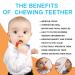 Rainbow Sensory Chewing Chain Set (4 Pieces) - Oral Motor Skills Autism & ADHD Solutions Bite Ring & Chewing Trailer - Buy Online on GoSupps.com