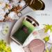 Aroma Naturals 3-Layer Scented Candle 21.52 oz - Balsam & Cedar | 100-Hour Burn Time | Soy Wax | Aromatherapy Candle with Wooden Lid - Buy Online on GoSupps.com