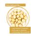 Buy Jalall D'or Roasted & Salted Macadamia Nuts - 500g | Fair Trade Whole Nut Kernels | International Shipping - Buy Online on GoSupps.com