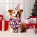 Fychuo Dog Birthday Party Dog Birthday Hat Pink Bandana Cat Birthday Girl Pet Birthday Present Sparkly Bow Tie Glitter Birthday Decorations for Small Medium Large Dogs A Pink - Buy Online on GoSupps.com