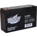 Interstate Batteries Power Patrol 6V 10Ah SLA0955 - High-Performance Sealed Lead Acid Rechargeable Battery for UPS Fire & Security Systems Emergency Lighting - Buy Online on GoSupps.com