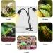 Testyu Double Turtle Heat Lamp - 25W+50W UVA+UVB Reptile Heating Lamp for Lizard Turtle Snake & Chameleon - Buy Online on GoSupps.com