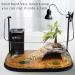 Tortoise Heat Lamp Basking Lamp 3 Bulb UVA UVB Light Lamp Heat Spotlight Reptile Light Aquarium Basking Light with Holder for Tortoise Bell Turtle Snake Lizards Terrarium Amphibian E27 25W 50W - Buy Online on GoSupps.com
