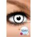 Buy FUNZERA White Vampire Halloween Contact Lenses - 2 Pack - No Prescription - Perfect for Cosplay Carnival & Mardi Gras - Buy Online on GoSupps.com