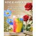 Buy IZIDDO Colourful Scented Candles - Rose & Musk Aromatherapy | 15oz Long Lasting Handmade Candles for Home Birthday Gifts & Aromatherapy - Buy Online on GoSupps.com