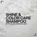 REDKEN Shampoing Doux Protecteur de Couleur Cheveux Color s Prolonge & Sublime la Couleur Formule au pH Acide Acidic Color Gloss 300ml Recharge Shampoing Cheveux Color s 500 ml - Buy Online on GoSupps.com
