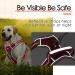 Thinkpet No-Pull Dog Harness - Breathable Adjustable Harness for Small Medium & Large Dogs | Soft Padded Reflective Safety Harness with 150cm Leash Set - Red - Buy Online on GoSupps.com