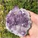 Amethyst 0.45kg Large Natural Amethyst Crystal Cluster Quartz Stone ZJGIDTEM - Buy Online on GoSupps.com