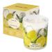 Scented Candle - Sicilian Lemon- 6oz Aromatherapy Soy Wax Jar Candle for Home Gifts for Women - 170g