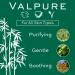Buy Christine Valmy Valpure Gentle Daily Foaming Facial Cleanser - 4.73 oz | International Shipping Available - Buy Online on GoSupps.com