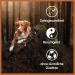 Wildfang Coffee Wood Chew Toy for Dogs & Puppies - 100% Natural Durable Splinter-Free Perfect for Pets Up to 15 kg - Buy Online on GoSupps.com