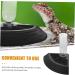 Happyyami Turtle Drinker Reptile Water Dish Bowl Reptile Water Dispenser Pet Water Feeder Reptisoil Plastic 17X17X3.5CM Black - Buy Online on GoSupps.com