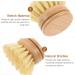 Solustre 2-Pack Sisal Cleaning Spot Brush Head - Wooden Kitchen Scrubber Replacement for Dishware & Pots - Buy Online on GoSupps.com