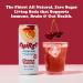 FHIRST Living Soda - Cherry Vanilla | Probiotic/Prebiotic Soda for Gut Health | Natural Zero Sugar or Sweetener | Drink for Gut Health | 12 x 330ml pack - Buy Online on GoSupps.com