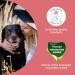 Mammaly Lucky Belly Probiotic Digestive Snacks for Dogs | Healing Dog Snacks | 30 Pack Intestinal Support - Buy Online on GoSupps.com