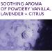 Nature's Beauty Lavender Chamomile Sleep Bath Bomb Gift Set - 2-Pack, 10 Count ea | Relax + Sleep Well with Coconut Oil + Witch Hazel Scented Bombs - Buy Online on GoSupps.com