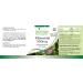 Fairvital | Burdock Root 500mg with Zinc - 120 Vegan Highly Dosed Capsule - Buy Online on GoSupps.com