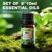 500ML Diffuser Set with 8 Essential Oils | Remote Control, Timer, & Auto-Off | Aromatherapy, Air Freshener, & Humidifier Combo for Bedroom - Buy Online on GoSupps.com