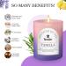 Scented Candles Gifts for Women - 5.3OZ Pear Violet & Vanilla | International Shipping Available - Buy Online on GoSupps.com