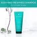 Ren Furterer ASTERA FRESH Soothing Freshness Shampoo - Mint & Eucalyptus - 6.7 Fl Oz - Paraben & Silicone-Free Relieve Sensitive Scalps - Buy Online on GoSupps.com